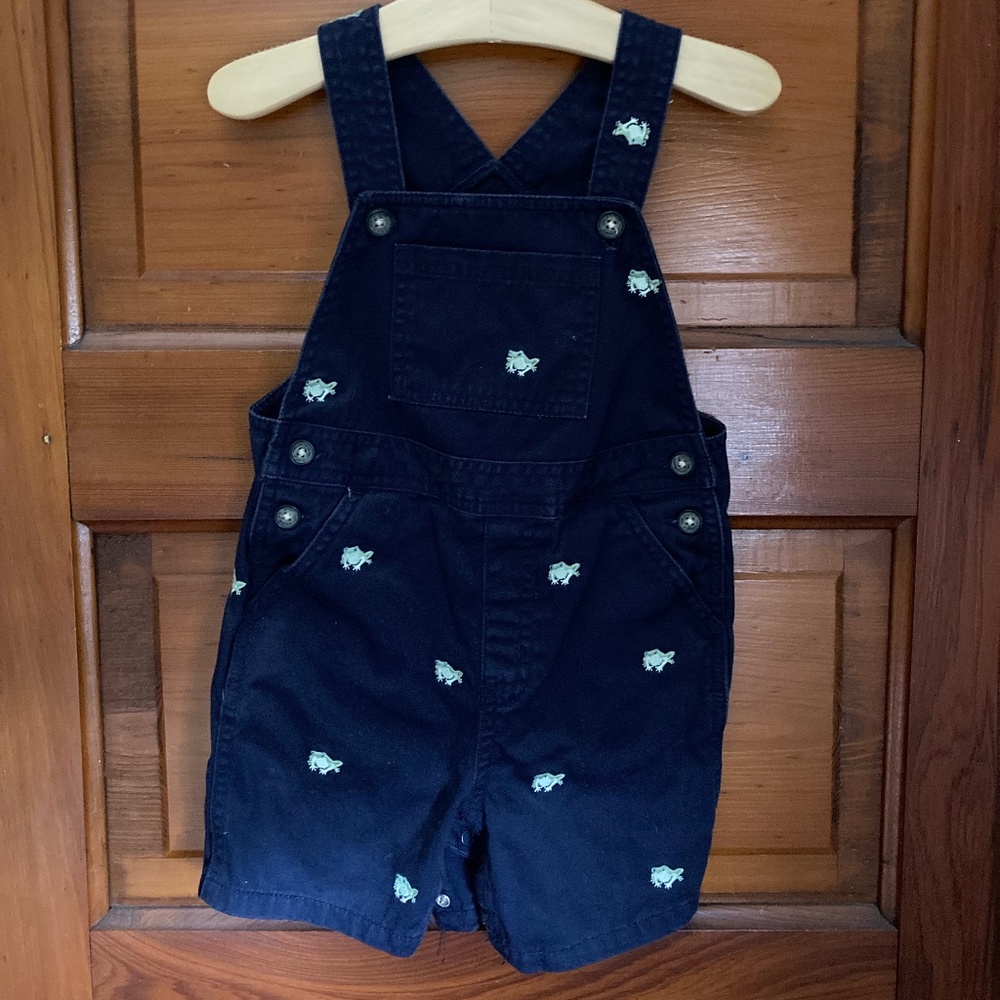 Janie and Jack 18-24 months Frog Embroidered Overalls EUC